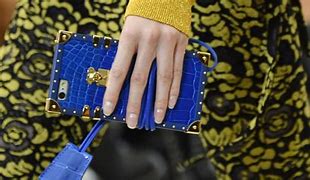 Image result for Louis Vuitton Phone Case Wallet iPhone 11