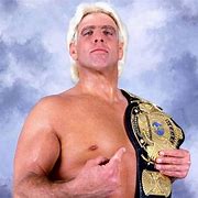 Image result for WWE Ric Flair Plead