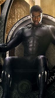 Image result for The Newest Black Panther Movie
