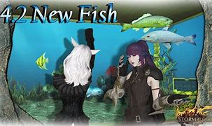Image result for Fish Races FFXIV