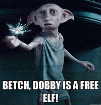 Image result for Dobby Is a Free Elf Meme