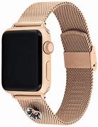 Image result for Rose Gold Mesh Watch Band