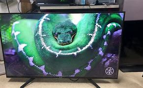 Image result for Sony 49 Inch Smart TV