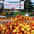 Image result for Local Farmers Market