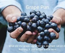 Image result for Grape Puns