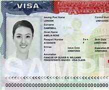 Image result for Immigrant Visa USA