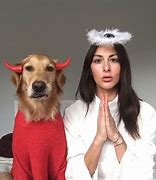 Image result for Halloween Dog Costume Meme