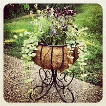 Image result for Iron Decorative Outdoor Planters