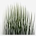 Image result for 2D Grass Texture