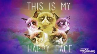 Image result for Welcome Grumpy Cat