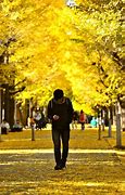 Image result for Tokyo University 新领域