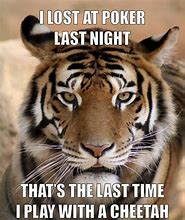 Image result for Hungry Tiger Meme