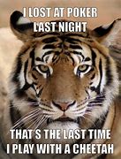 Image result for Tiger Lasing Meme