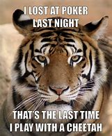 Image result for Tiger Poster Meme