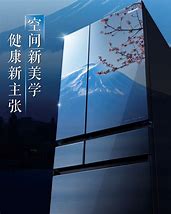 Image result for Panasonic Refrigerator Box Made in Japan