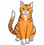 Image result for Orange and White Furred Cat