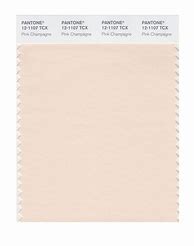 Image result for Champagne Pantone Number TCX