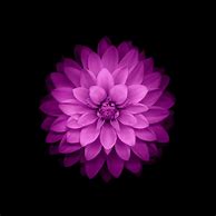Image result for iOS Purple Wallpaper