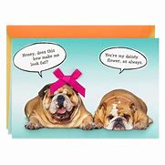 Image result for Happy Anniversary Funny Animals