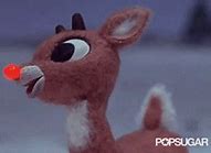 Image result for Funny Reindeer Christmas GIF