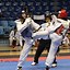 Image result for Taekwondo Action Shots