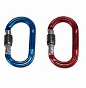 Image result for Ice Rescue Carabiner