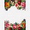 Image result for Floral Frame Clip Art Free