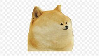 Image result for Fat Doge Face Meme
