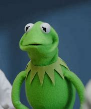 Image result for Kermit the Frog Funny Face Meme