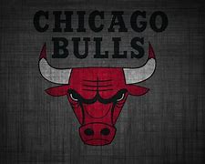 Image result for Chicago Bulls