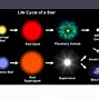Image result for The Life Cycle of a Blue Star Fern