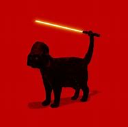 Image result for Funny Star Wars Cat Memes