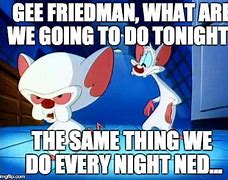 Image result for Pinky and the Brain Monday Meme