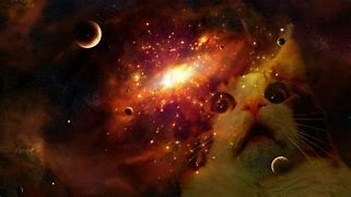 Image result for Cat Galaxy Purple Backgrounds
