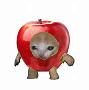 Image result for Sad Apple Cat