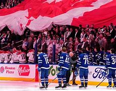 Image result for Toronto Maple Leafs New Logo