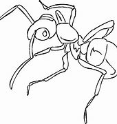 Image result for Biggest Ant Ever