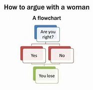 Image result for Woman Logic