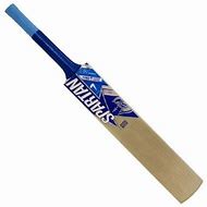 Image result for Spartan Cricket Bat