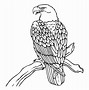 Image result for Realistic Flying Eagle Coloring Page