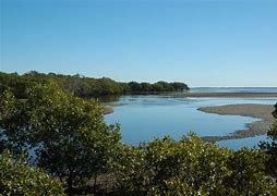 Image result for Nudgee Creek