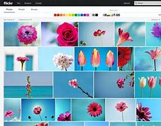 Image result for Flickr Search People