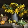 Image result for Still Life Color Photography