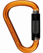 Image result for Carabiner Security Lock