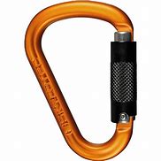Image result for Rappelling Carabiners