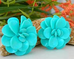 Image result for Earrings with Clip Clasp