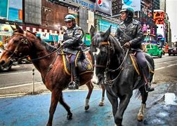Image result for New York Times Square Horse