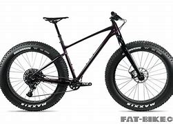 Image result for Giant Fat Tire Bike