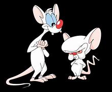 Image result for Pinky and the Brain Cartoon Meme