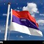 Image result for Serbia Flag